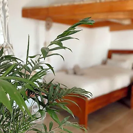 Surf & Yoga Retreats Fuerteventura *